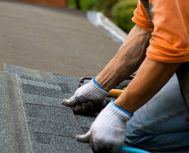 Best Affordable Roofing Company  in Forreston, IL