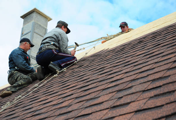 Best Tile Roofing Contractor  in Forreston, IL