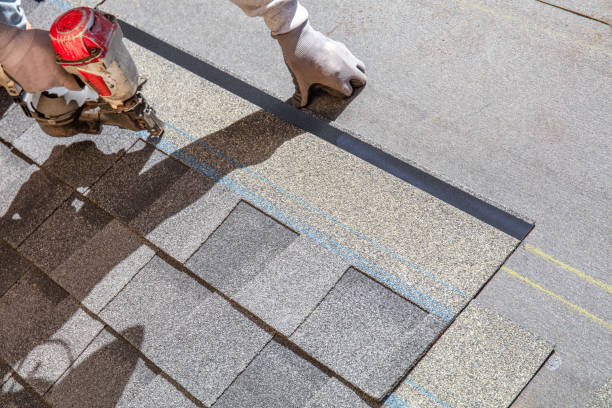 Best Roof Repair Estimates  in Forreston, IL